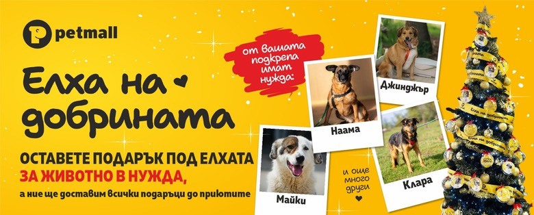 Елхата на добрината – когато Коледа се превръща в надежда